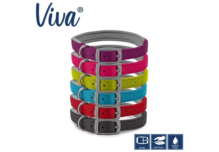 Ancol - Viva Nylon Padded Buckle Collar - Blue - Size 5 (39-48cm)