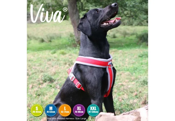 Ancol - Viva Nylon Padded Harness - Black - XLarge (70-98cm)