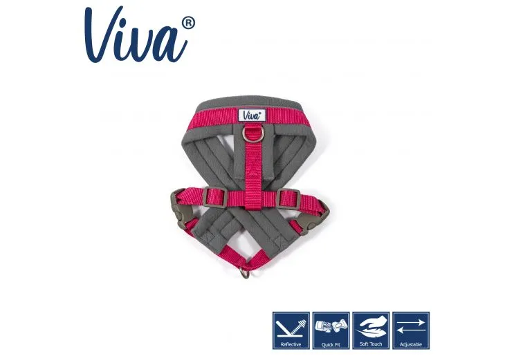 Ancol - Viva Nylon Padded Harness - Cyan - Small (36-42cm)