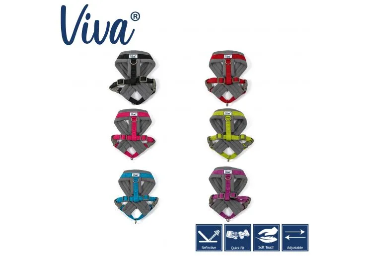 Ancol - Viva Nylon Padded Harness - Cyan - Small (36-42cm)