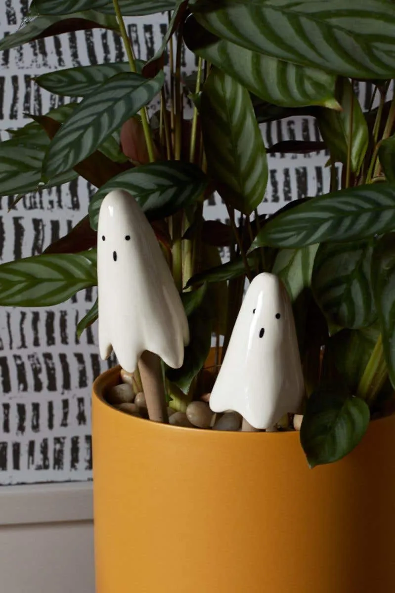 Casper Plant Sticks